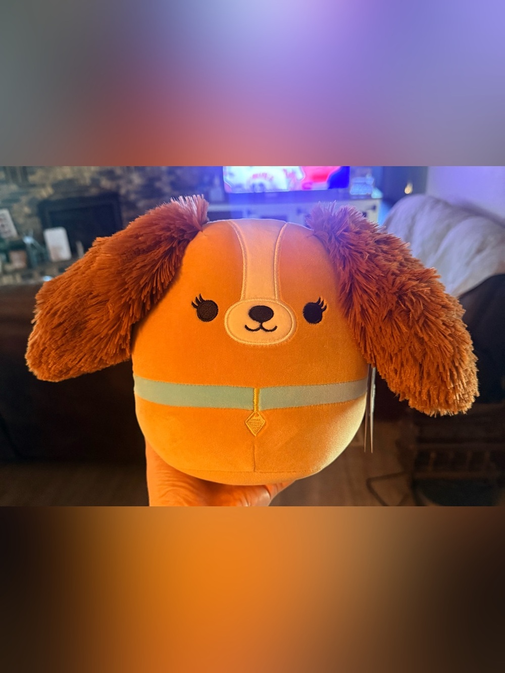 Disney Squishmallow Lady